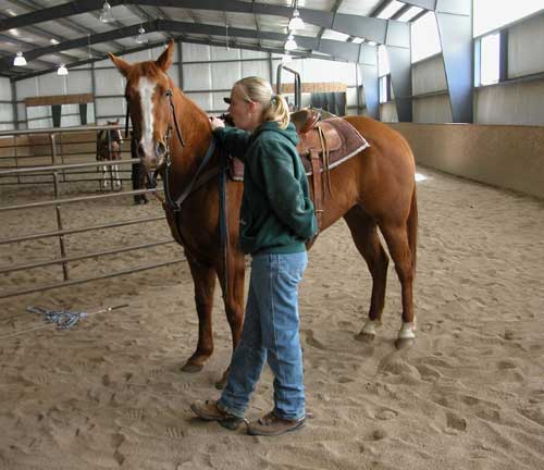 Photo of a woman standing beside a horse at an indoor corral.