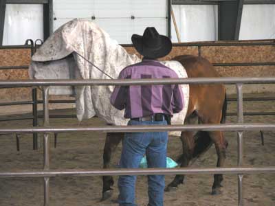 Photo of a trainer with a horse.  The trainer has draped a cloth over the horse's head as he instructs on desensitization.