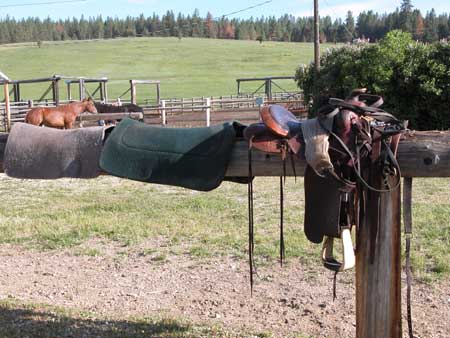 Photo of two saddle pads and a saddle laying atop a hitching rail.  Two horses stand in the background.