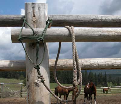 Photo of a halter made entirely of rope hanging from the post of a hitching rail.  Horses stand within a corral in the background.