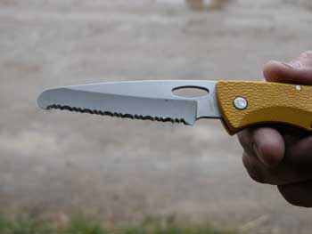 Photo of a pocket knife with a serrated blade.