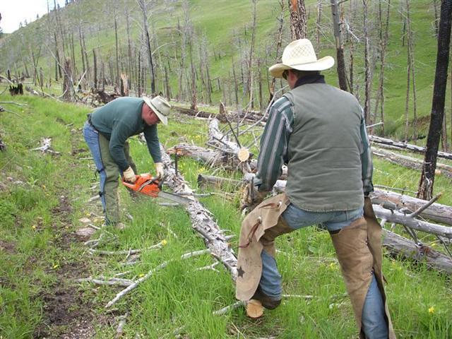 Fred & Marty Clearing trail (Small)