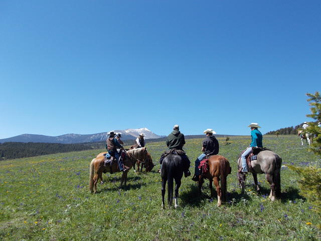 Elk Ridge Day Ride