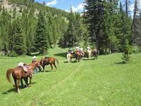 Gallatin Valley Back Country Horsemen