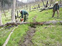 Clearing the North Fork of Elkhorn
