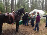 Family Forestry Expo 2014