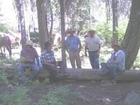 Sawtooth lumber haul (33)