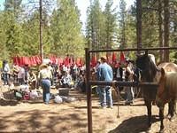 Youth Day in Montana