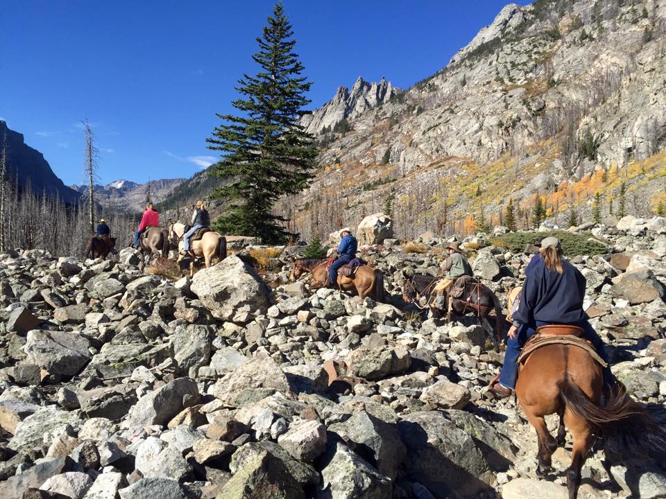 Horses trail riding on Rocks