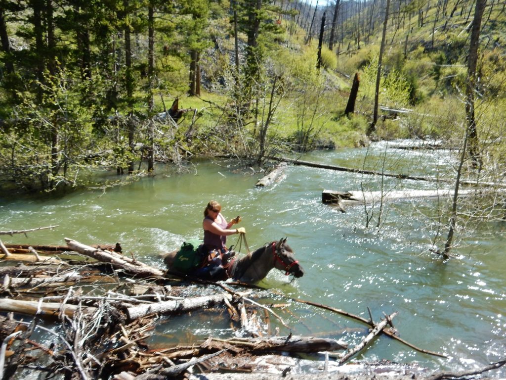 Deer Creek Cabin Trail Clearing 2019