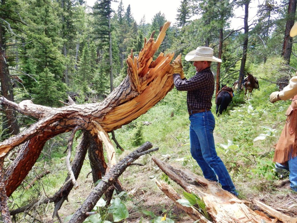 Cowboy cutting a tree 2020 Archives