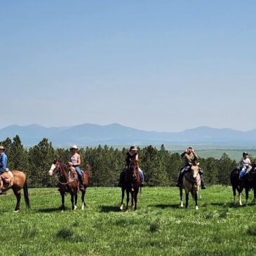 Wade Murphy Horsemanship Clinic June 7,8,9 2025 at the Stanford, Montana Fairgrounds