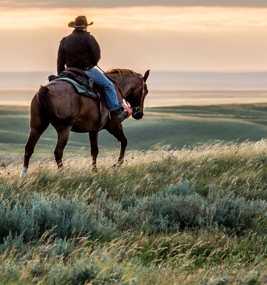 Mark Colyer and Don Bohne | Back Country Horsemen of Missoula