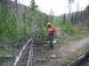 Monture-creek-trail-clearing-6-2019-022