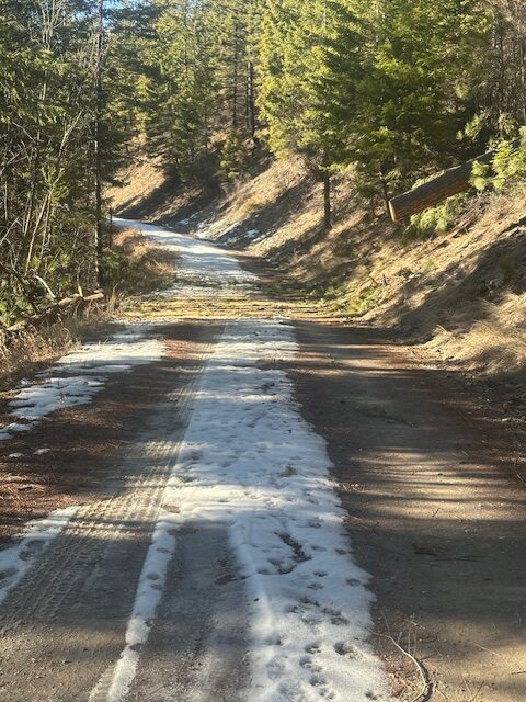 Trees at the 5 mile on the 5587 cleared on 1/15/26. Most snow melted in 5 days!
